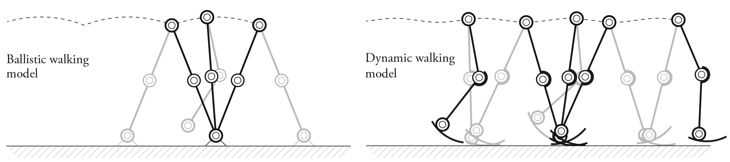 2.14-Dynamic-Ballistic-Walking
