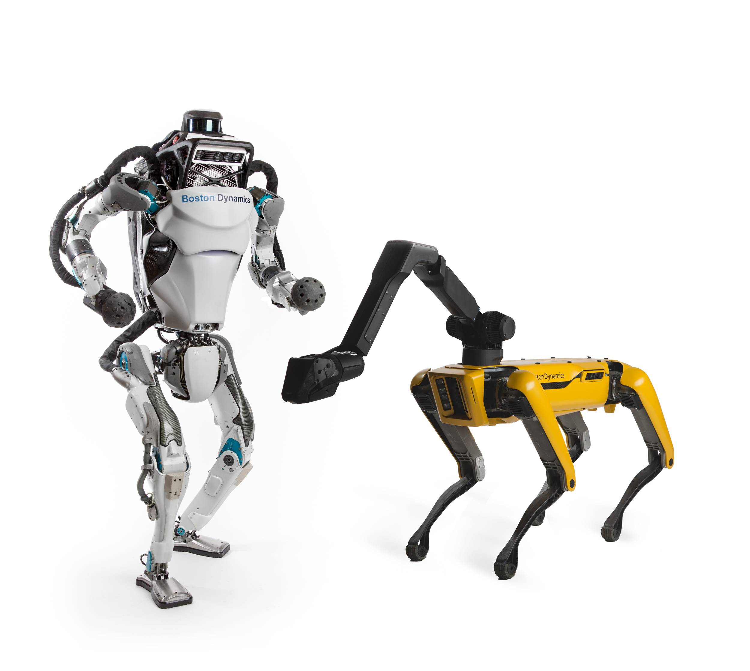 Robotics and Biomechanics