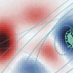 Optimization and Biomechanics