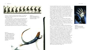 BiomechanicsOfMovement_Final_Spread_Samples_Page_09