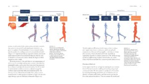 BiomechanicsOfMovement_Final_Spread_Samples_Page_13