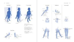 BiomechanicsOfMovement_Final_Spread_Samples_Page_15
