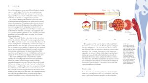 BiomechanicsOfMovement_Final_Spread_Samples_Page_23