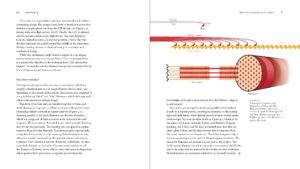 BiomechanicsOfMovement_Final_Spread_Samples_Page_25