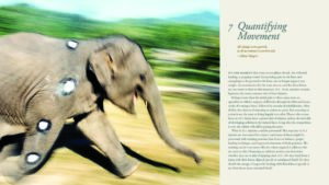 BiomechanicsOfMovement_Final_Spread_Samples_Page_26