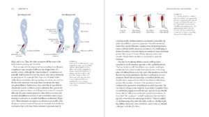 BiomechanicsOfMovement_Final_Spread_Samples_Page_33