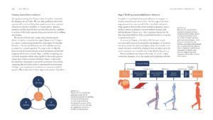 BiomechanicsOfMovement_Final_Spread_Samples_Page_34