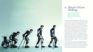 BiomechanicsOfMovement_Final_Spread_Samples_Page_36