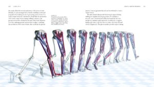BiomechanicsOfMovement_Final_Spread_Samples_Page_38